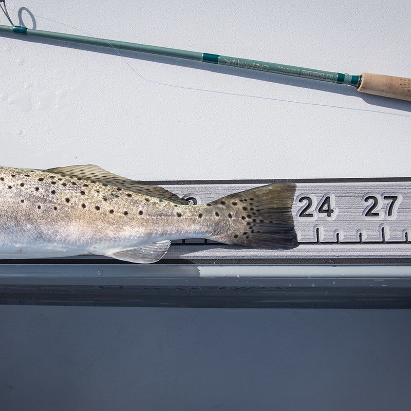 24" Fish Ruler